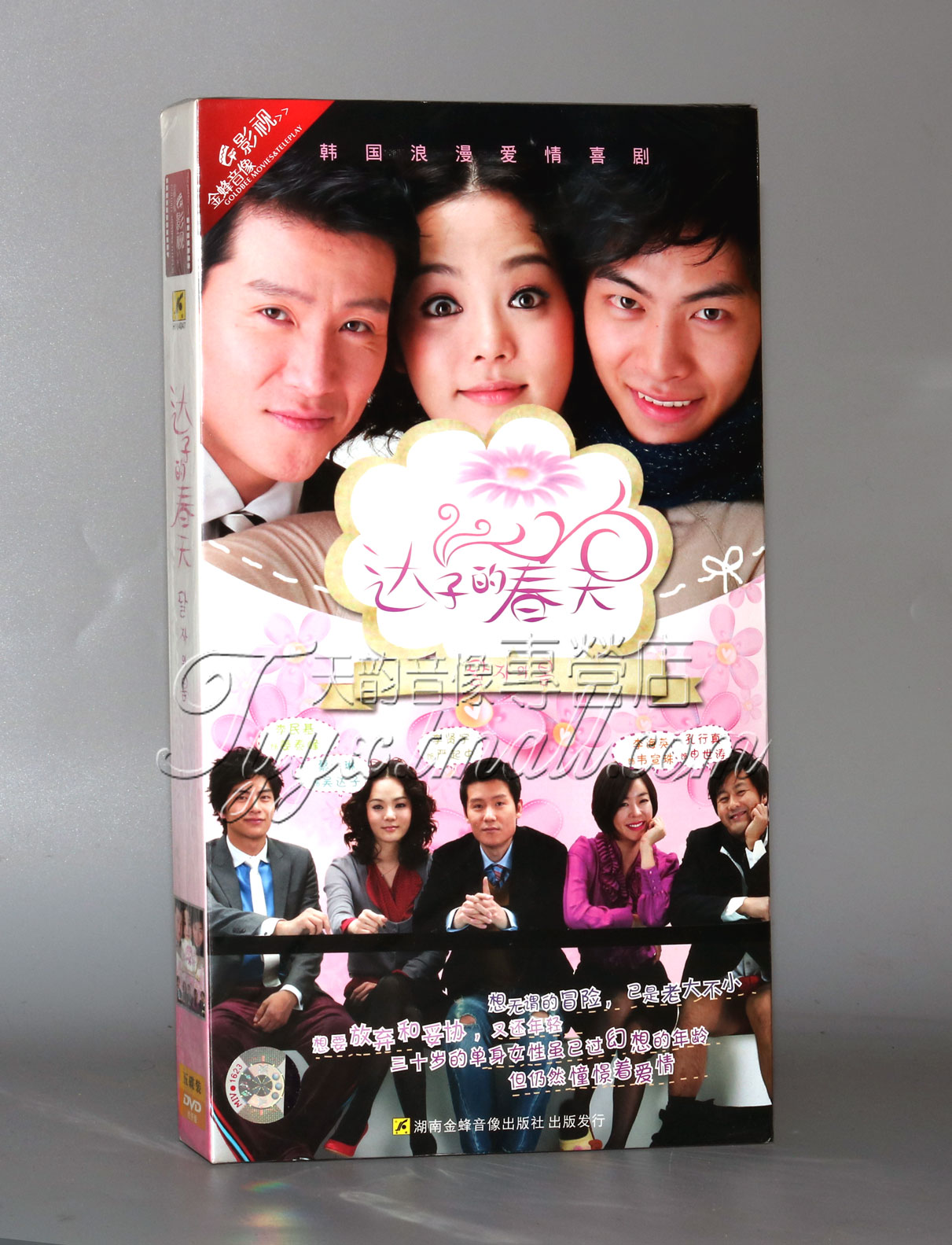 正版电视剧 达子的春天5dvd 经济版盒装 蔡琳 李民基 李贤宇