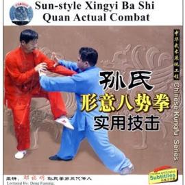 正版 孙禄堂武学实用技击 孙氏形意八势拳实用技击 1DVD 邓福明