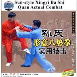 正版 孙禄堂武学实用技击 孙氏形意八势拳实用技击 1DVD 邓福明