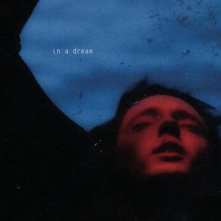 正版现货 戳爷特洛耶希文 在梦里 Troye Sivan In A Dream 希梵CD