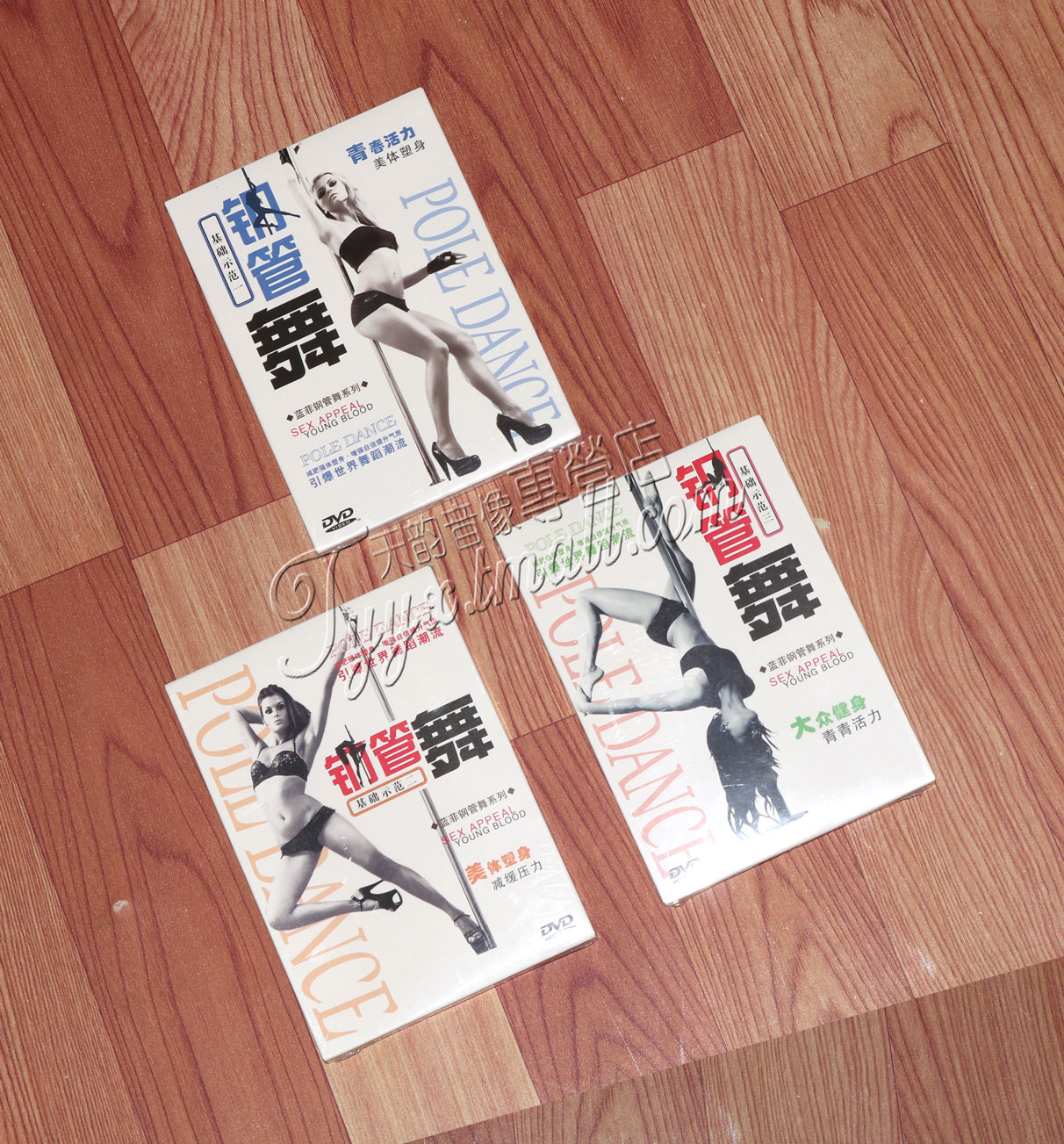 钢管舞基础示范全套1-3 蓝菲钢管舞系列 教学教程3dvd 分解动作