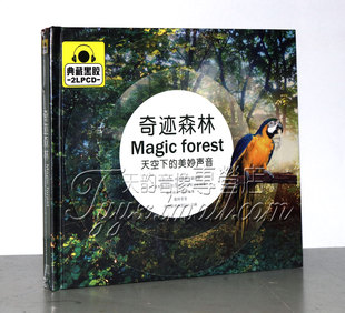天空下 奇迹森林 美妙声音 黑胶 2CD 星文唱片 双碟 聆听轻音乐