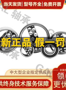 NSK滚珠1304日本1305进口1306高温1307轴承1308调心球1309 K C3