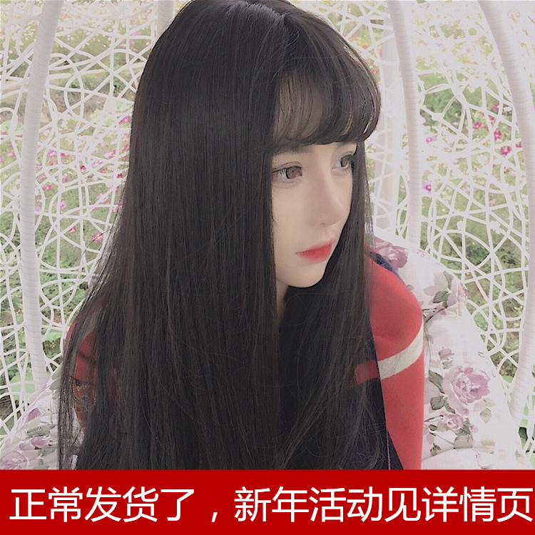 Perruque Long cheveux raides - Ref 2609193 Image 1