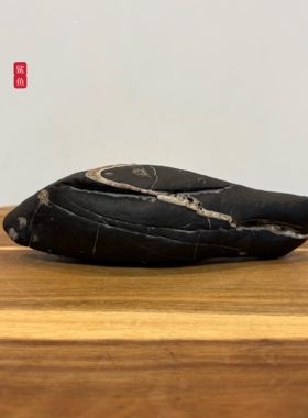 鲨鱼镇纸/ 天然太湖石原石头摆件 象形石 书桌文房用品茶桌办公桌