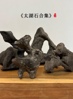 太湖合集/ 天然太湖石原石头书桌面摆件 手把件 笔架托 香插底座