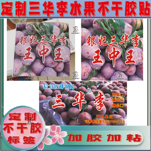 定制钱排三华李不干胶贴纸脆李黑布李西梅胭脂李杨梅水果标签贴纸