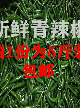 热销特价优惠现摘农家直达青辣椒