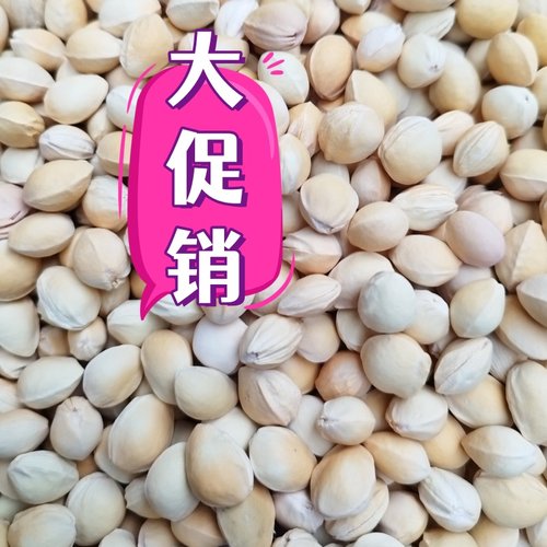 亳百惠樱桃核按摩抛光打磨