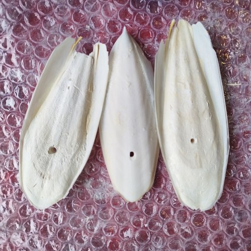 亳百惠墨鱼骨磨牙脱盐