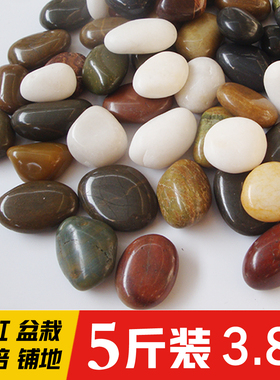鹅卵石雨花石小石子天然原石鱼缸花盆鹅软石庭院装饰园艺五彩石头