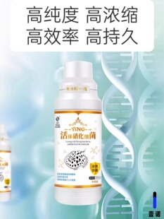 鱼缸用水质稳定剂 壹诺硝化细菌 龙鱼特级益生菌水族酸奶液体活菌