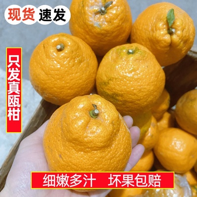 瓯柑温州丽水特产瓯柑新鲜水果