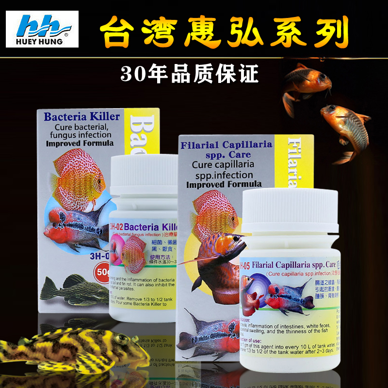 惠弘百必除特灭菌七彩头洞罗汉鱼