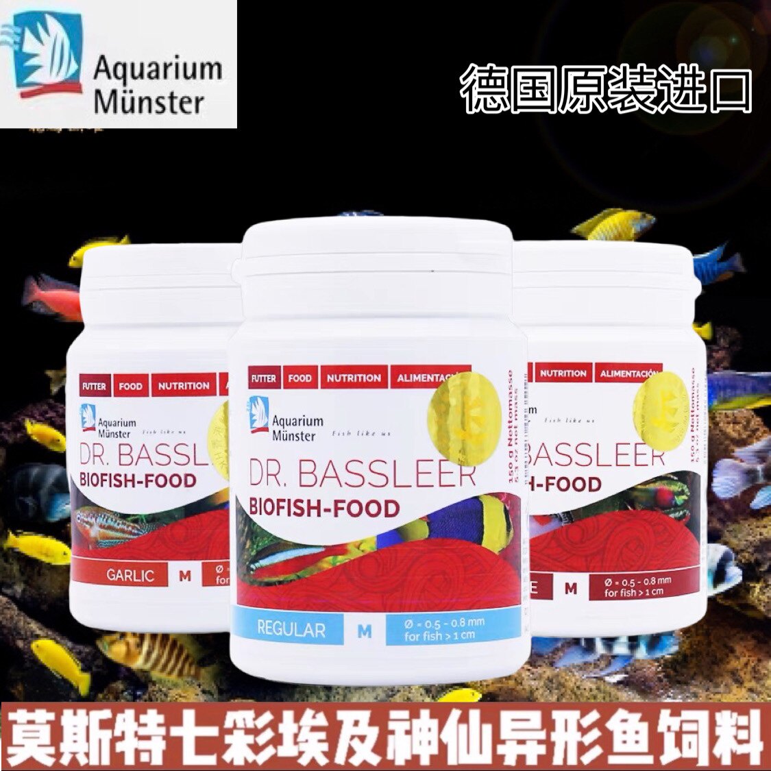 莫斯特颗粒德国小型鱼