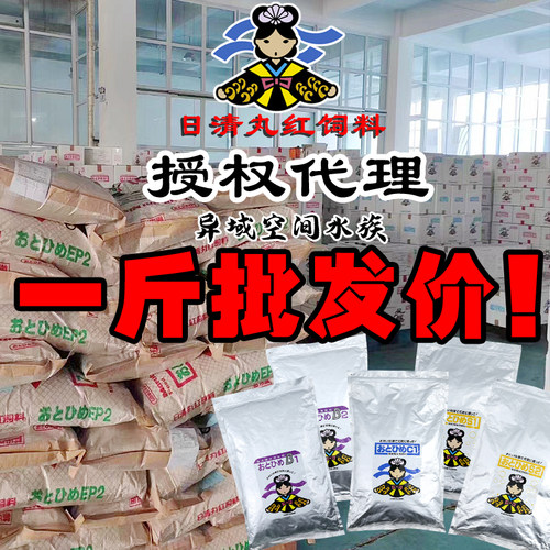 日本鱼食观赏兰寿锦鲤三湖慈鲷