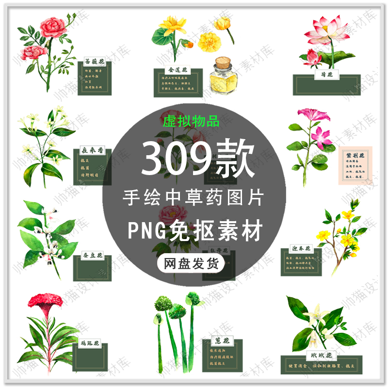 手绘中草药插画线描草本植物中医养生中草药包装图案PNG免扣素材-封面