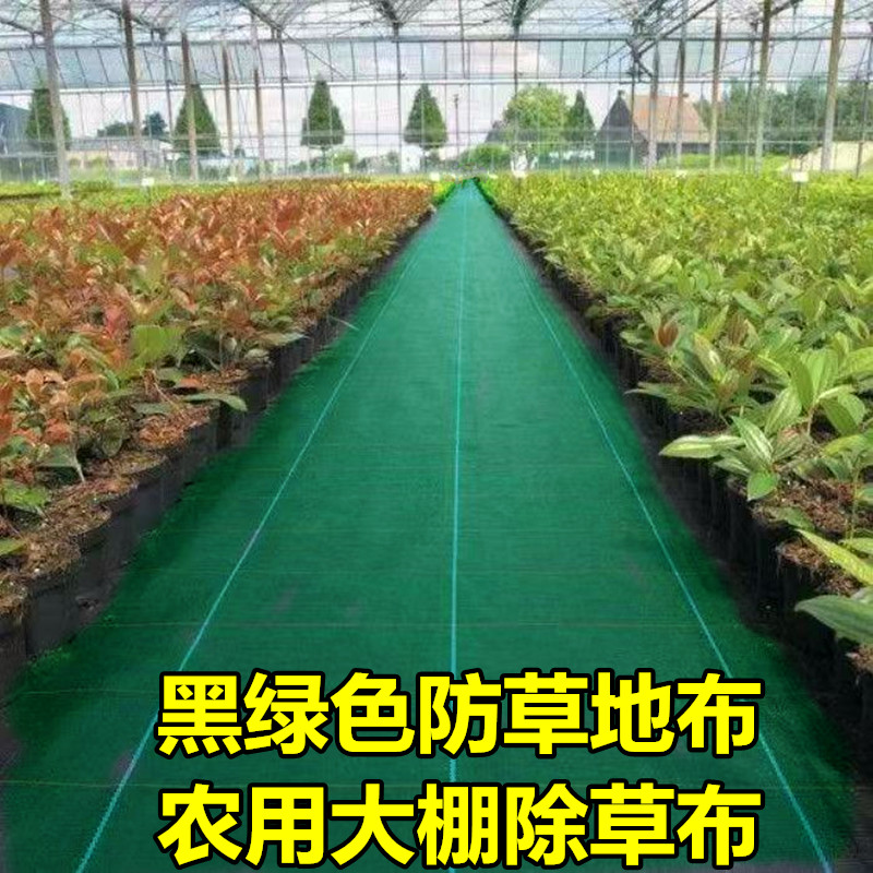 防草布除草布耐用黑绿色园艺地布