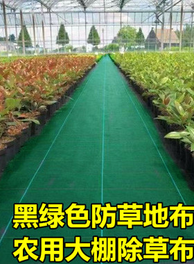 防草布除草布耐用黑绿色农用园艺地布加厚大棚庭院盖草布厂家直销