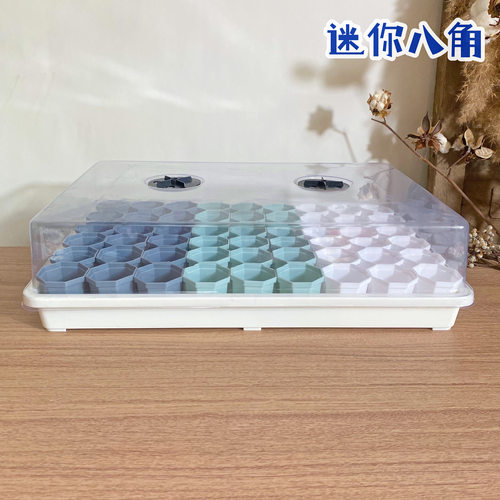 简约迷你八角盆白托盘可浸盆湿养