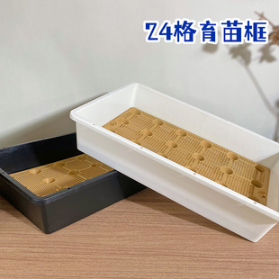 7方浸盆蓄水多肉植物叶插闷养 塑料小黑方接水盘盖 24格育苗盆