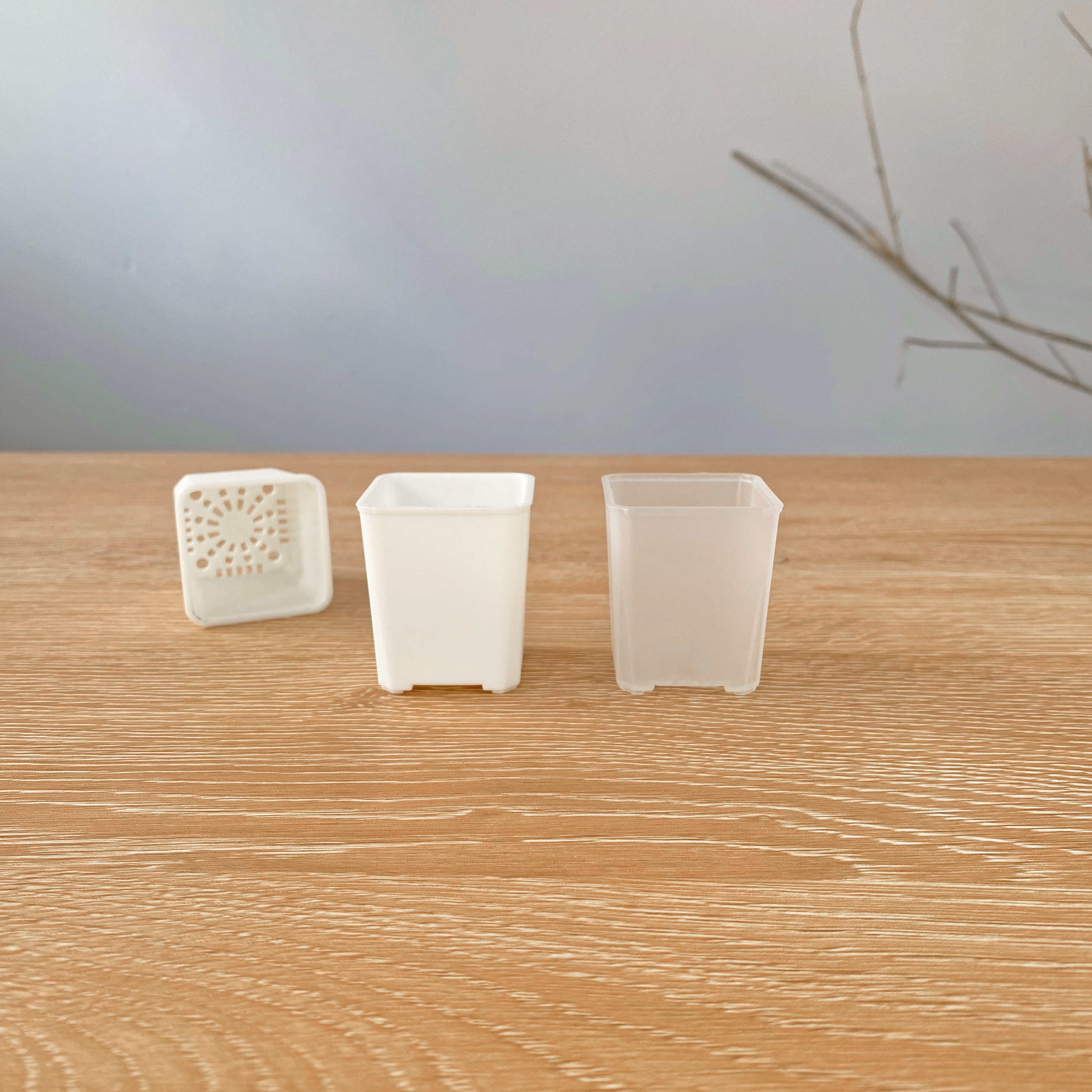 3.5口矮盆 暖白色多肉播种移苗灯养切糕毛汉尼肉锥生石花鼻屎苗盆