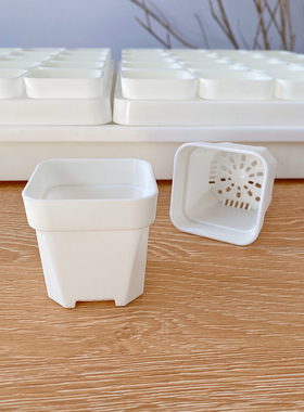 【5口径浅方盆】多肉植物专用塑料小花盆 叶插育苗盆玉露景天水泡