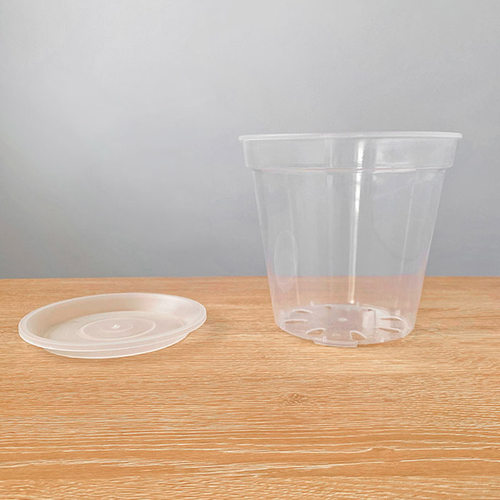 高透明圆形青山蝴蝶兰花盆