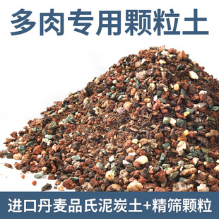 多肉颗粒土网购多肉土专用营养土植物泥炭土叶插育苗土纯颗粒花土