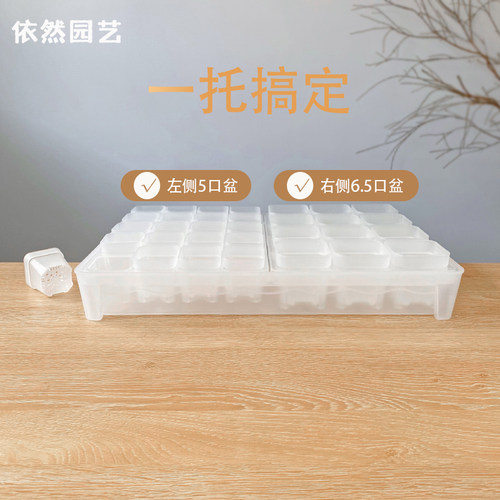 新品6口用镂空12格托架