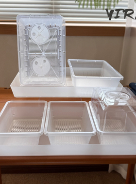 透明塑料加厚育苗播种筐盘多肉花卉蔬菜芽苗菜小号种植花盆盘叶插