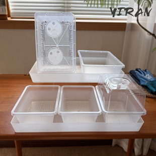 透明塑料加厚育苗播种筐盘多肉花卉蔬菜芽苗菜小号种植花盆盘叶插