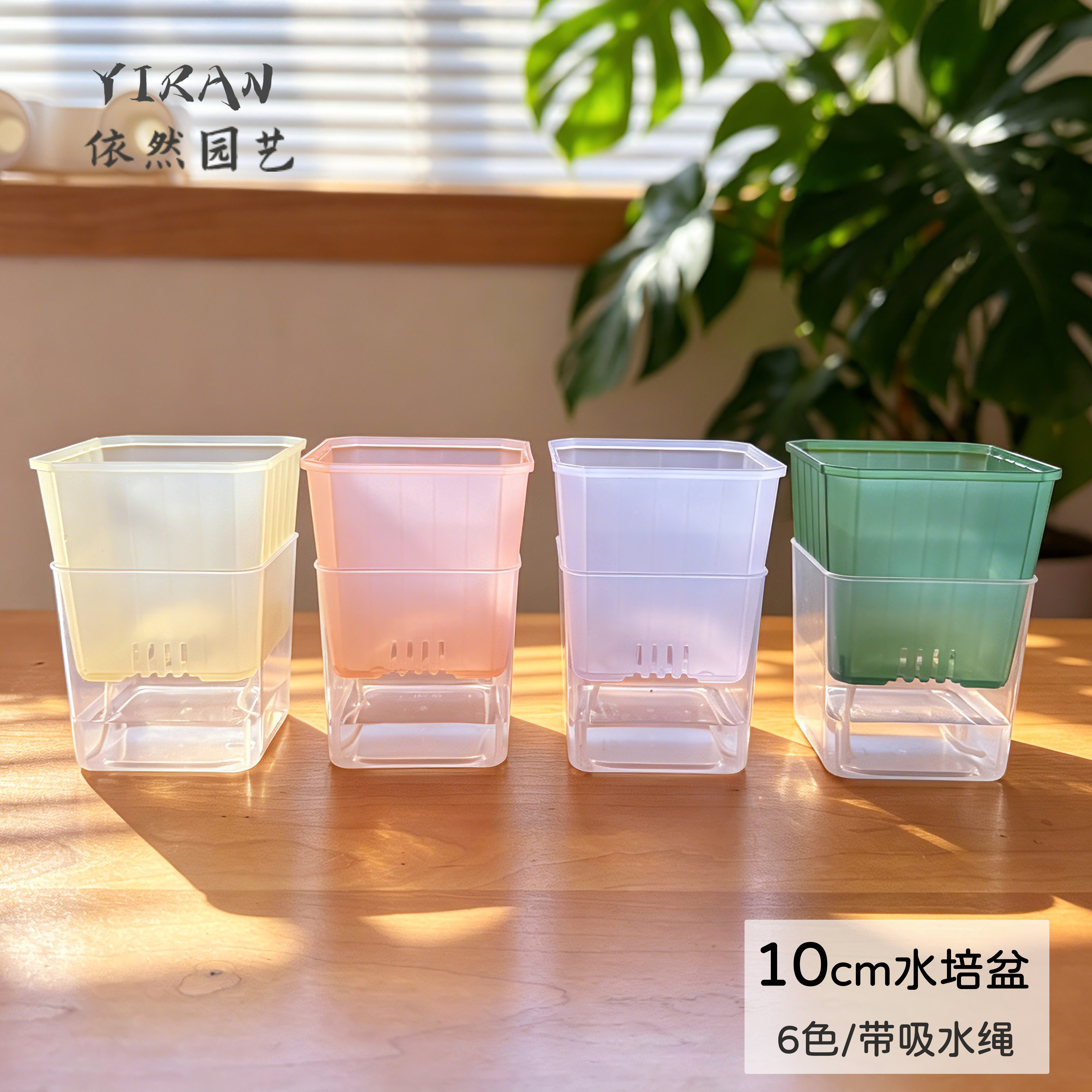 依然园艺10cm方盆水培带吸水绳图片