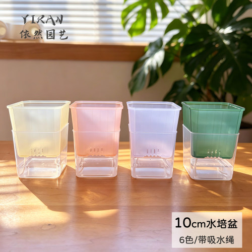 依然园艺10cm方盆水培带吸水绳
