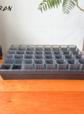 4.8cm暮光盆 透明灰色多肉花盆育苗移苗叶插绣月季球枝条扦插塑料