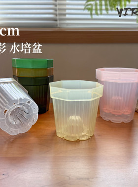 彩叶芋加厚塑料花盆12cm