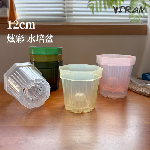 彩叶芋加厚塑料花盆12cm