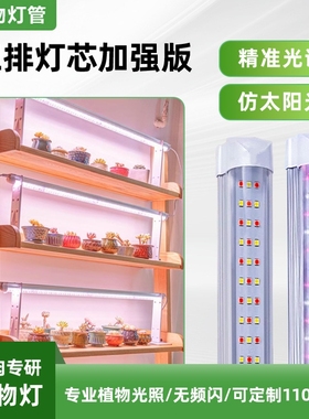 全光谱多肉上色植物生长灯T8LED室内仿太阳光室内花卉植物补光灯