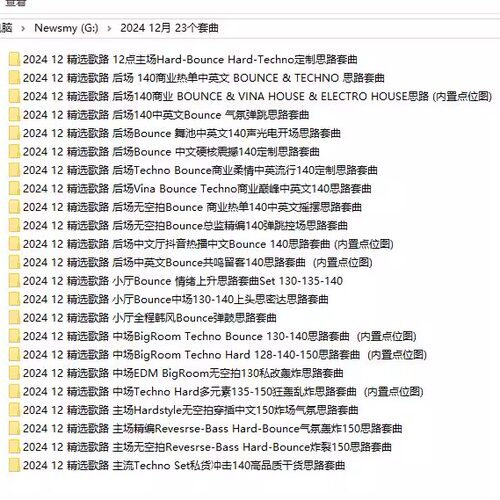 2024 12月百大DJ酒吧早场中场主场后场派对场专用舞曲DJ套曲23个