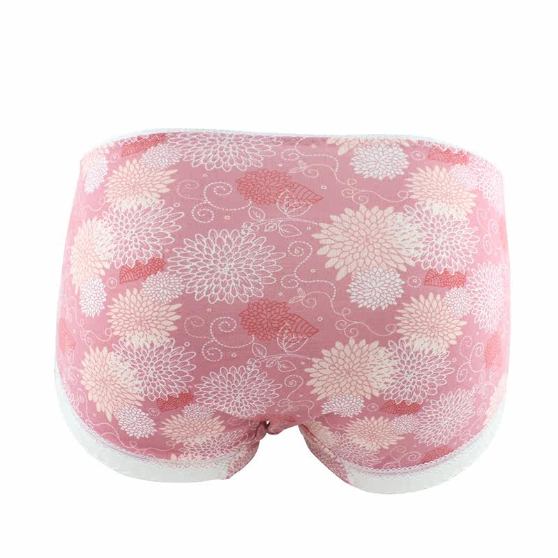 Slip jeunesse E17191 en coton - Ref 668713 Image 3