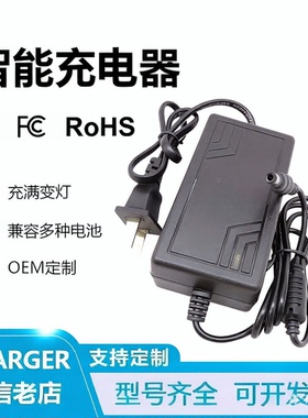 6V5Ah7Ah8AH10Ah20Ah蓄电池充电器玩具童车铅酸电瓶充电器4V4.5AH