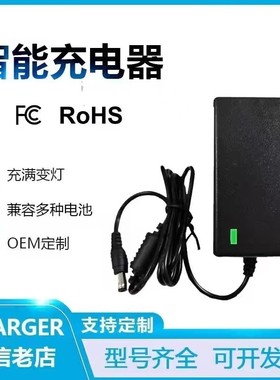 25V29V36V2A1A25.2V29.4V1.5A0.5A锂电池充电器洗地机30V吸尘器线