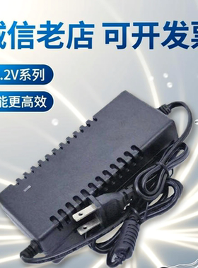 锂电池组25.2V2A3A4A5A智能充电器6串筋膜枪户外电源24V25V26V