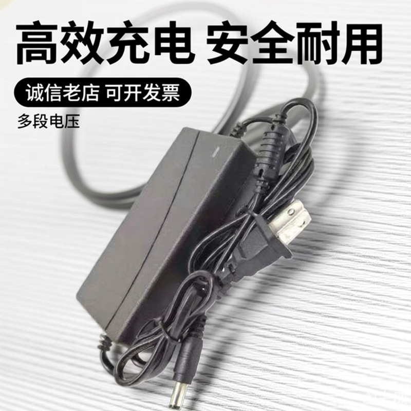 24V29.4V36V42V48V通用电动滑板车代步平衡车扭扭车锂电池充电器