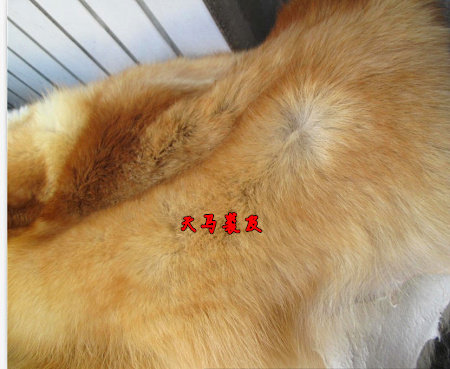 Pantalon cuir homme en vrac pour hiver - Ref 1493216 Image 4