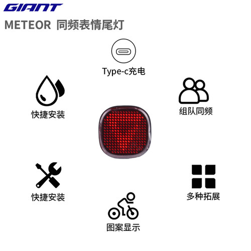 GIANT捷安特自行车尾灯同频表情