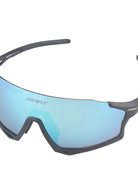 捷安特自行车太阳风镜男女户外运动黑色透气鼻托可调骑行眼镜装备