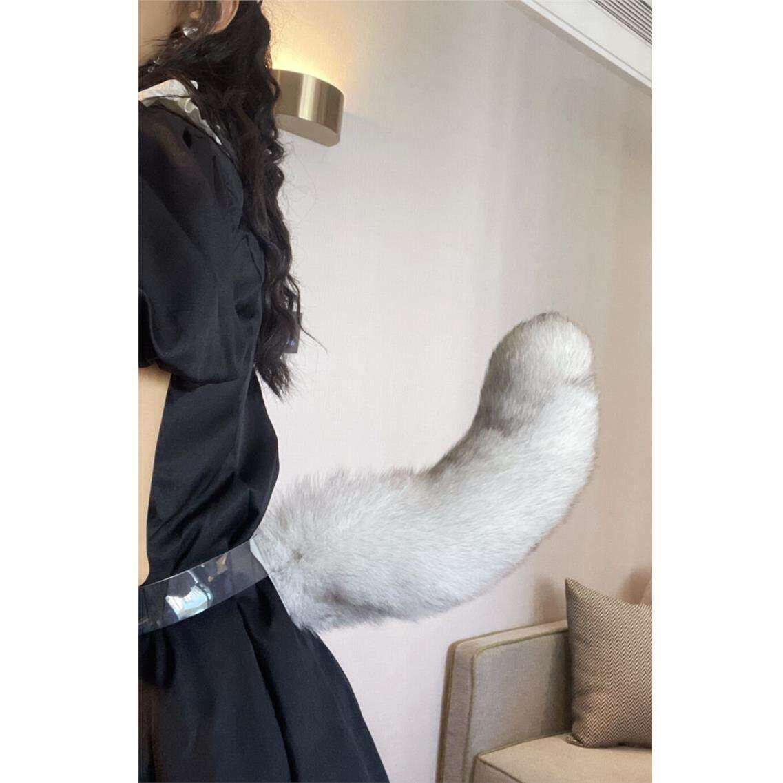可变换造型尾巴可动大声