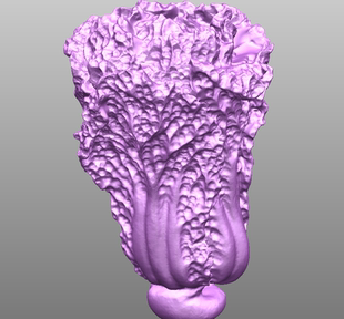白菜圆雕图三维立体扫描stl精雕图白菜模型3d打印电脑雕刻图