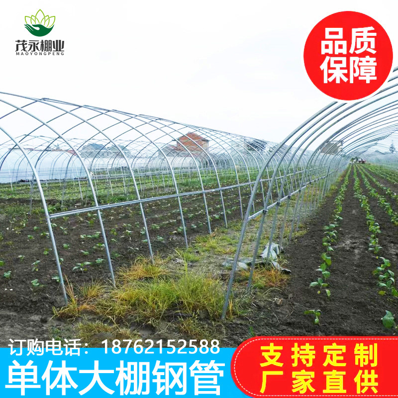 大棚骨架全套热镀锌钢管温室农业种植蔬菜大棚支架钢架椭圆管养殖